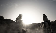 在线短信轰炸平台